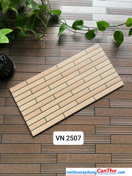 Việt Nhật VN 2507